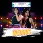 WEDHUS (Remix)