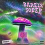 Barely Sober (Explicit)