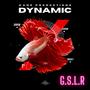 Dynamic (feat. G.S.L.R) [Explicit]