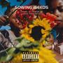 Sowing Seeds (Explicit)