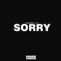 sorry (feat. E19) [Explicit]