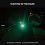 Waiting in the Dark (Explicit)