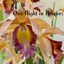 One Night in Forever