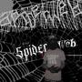 Spider Web (Explicit)