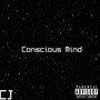 Conscious Mind (Explicit)