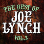 The Best of Joe Lynch Vol. 2