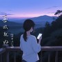 欢喜就好（闽南语DJ版）