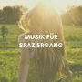 Musik für Spaziergang: Musik zum Wandern, Wander-Playlist