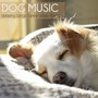 Dog Music: Relaxing Songs for Canine Sleep Therapy