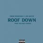 Roof Down (feat. Joe Mayer) [Explicit]