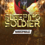 Sleeping Soldier