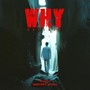 Why (Explicit)