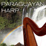 Paraguayan Harp