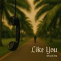 Like You (Explicit)
