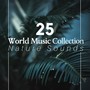 25 World Music Collection: the Best Nature Sounds coupled with the Most Soothing New Age Music for Relaxation and Meditation