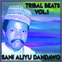 Tribal Beats, Vol. 1