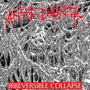 IRREVERSIBLE COLLAPSE (Explicit)