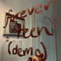 forever teen (demo) [Explicit]