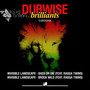 Dubwise Brilliants, Vol. 8