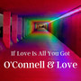 If Love is All You Got (Radio Edit)