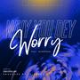 Why you dey worry (feat. Harrisxn)