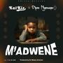 M'adwene (feat. Ohene Nyansapo)