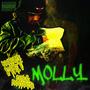 Molly (feat. BrokeLife Relyk) [Explicit]