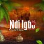 Ndi Igbo (feat. Elcie)