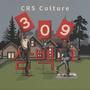 3.0.9 (Explicit)