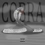 COBRA (Explicit)