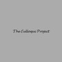 The Eulloqui Project