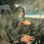 GANG SHI (Explicit)