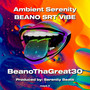 Ambient Serenity BEANO SRT VIBE (Explicit)