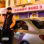 Shady Budz 3 (Explicit)