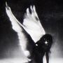 you're a blind angel