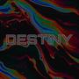 Destiny (feat. Casst)