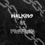 Walking In Freedom (feat. Gavin Clarke)