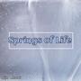 Springs of Life