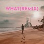 WHAT (Remix)