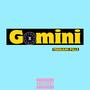 GEMINI (Explicit)