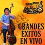 Grandes Éxitos (En Vivo)