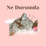 Ne Durumda