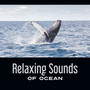 Relaxing Sounds of Ocean – Whales & Ukulele, Water Consort Therapy, Natural Stress Relief, Mindless, Deep Meditation