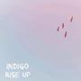 Indigo Rise Up