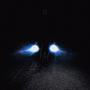 Zzz II/sleepless niightz (Explicit)