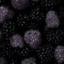 Blackberry (Explicit)