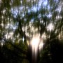 Limerence