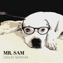 Mr Sam