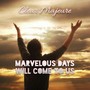 Marvelous Days Will Come to Us