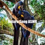 Nature Song ASMR